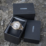 Citizen Eco-Drive Arezzo numeros romanos Bitono AW1694-50A